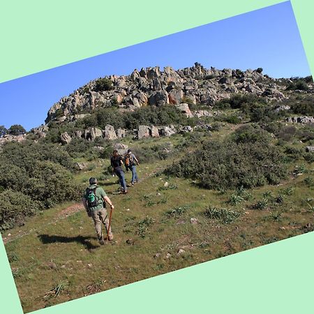 Complejo Turistico Rural Fuente Taray Appartement Malagón Buitenkant foto