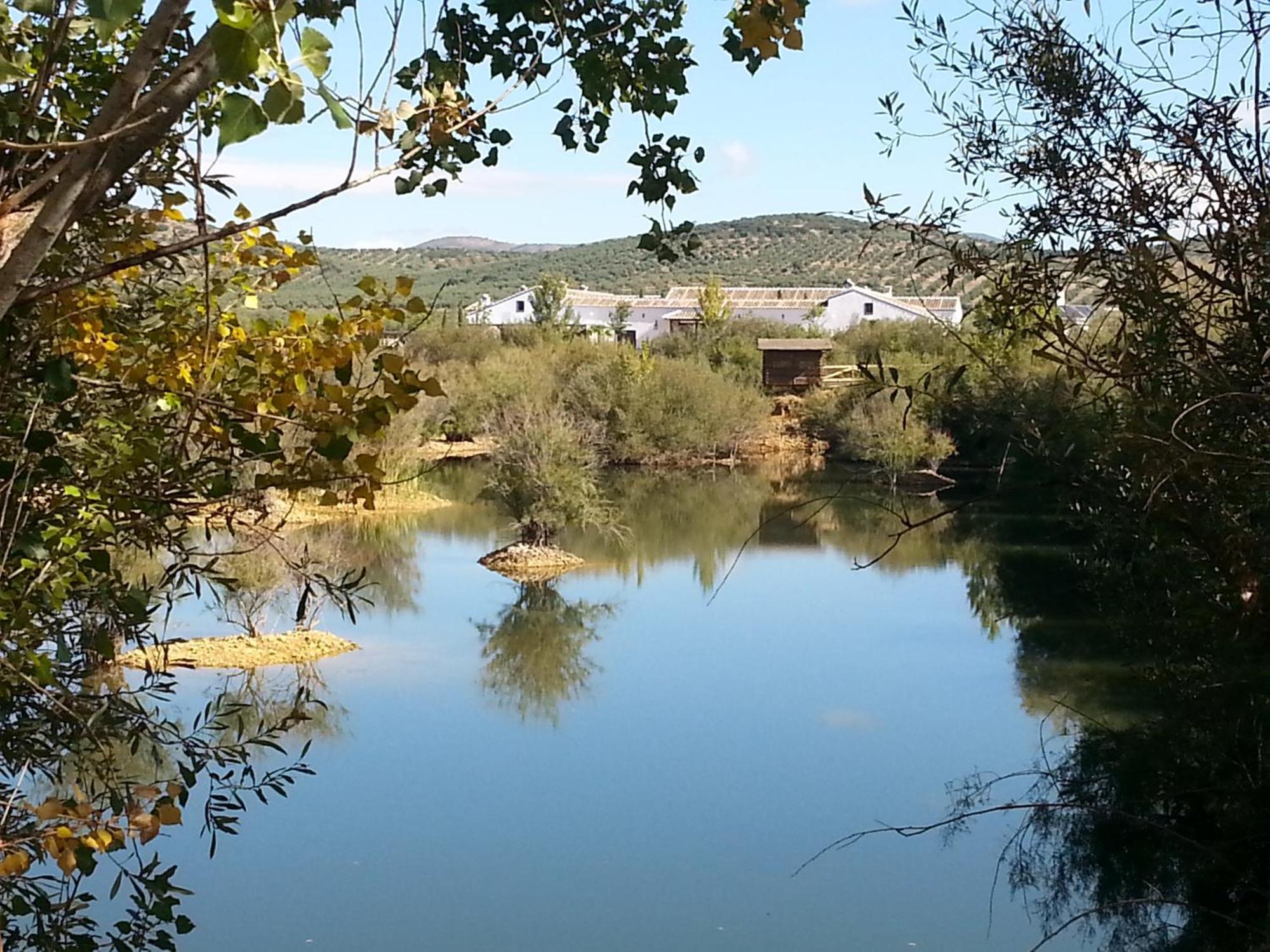 Complejo Turistico Rural Fuente Taray Appartement Malagón Buitenkant foto